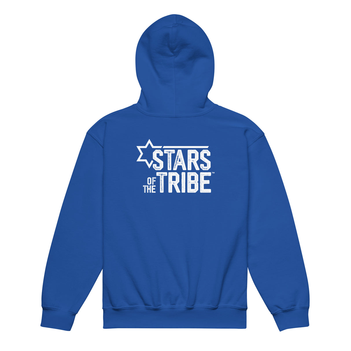 Kids' Stand With Moses Hoodie
